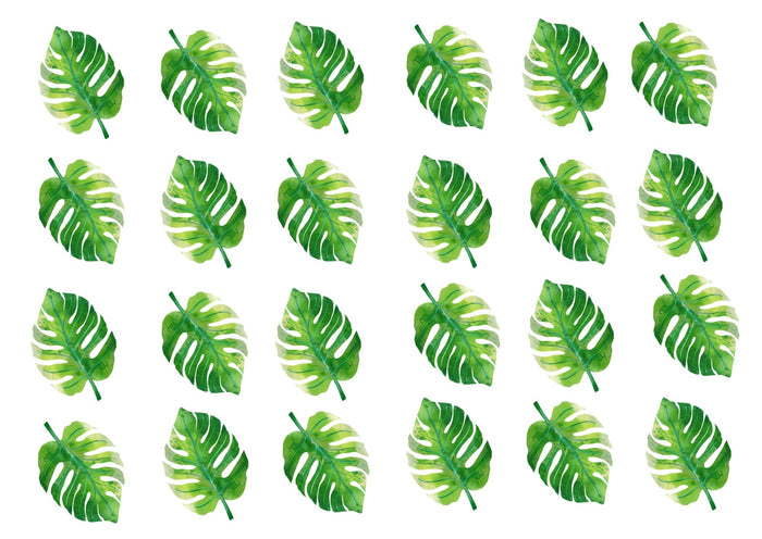 Little Wall Wonders Jungle Leaves